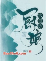 《大理寺厨娘》全本TXT下载-作者：橘绿