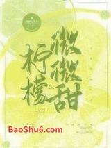 《柠檬微微甜》全本TXT下载-作者：艾鱼