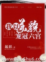 我以美貌宠冠六宫图片