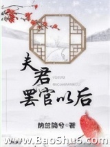 夫君罢官以后图片