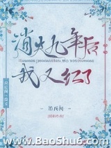 消失九年后我又红了