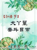 《[红楼]大丫鬟奋斗日常》全本TXT下载-作者：太极鱼
