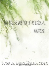 偏执反派的手机恋人