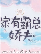 家有霸总娇夫（女尊）