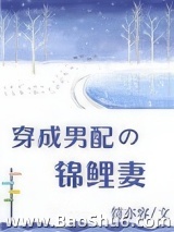 穿成男配的锦鲤妻图片
