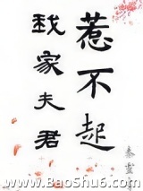 我家夫君惹不起图片