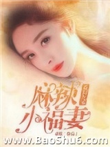 《重回九零麻辣小福妻》全本TXT下载-作者：童欣