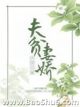 夫贫妻娇