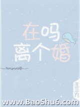 在吗，离个婚小说