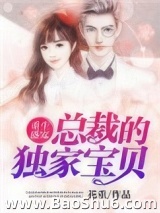重生盛宠：总裁的独家宝贝