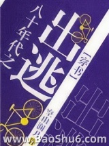 八十年代之出逃[穿书]图片