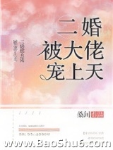 《二婚被大佬宠上天》全本TXT下载-作者：桑间