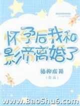 怀孕后我和影帝离婚了