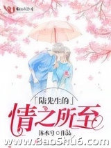 陆先生的情之所至图片