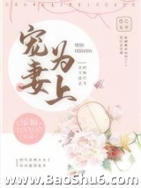 宠妻为上图片