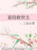 退役救世主