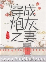 穿成炮灰之妻（穿书）图片