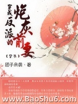 穿成反派的炮灰前妻（穿书）