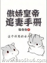 傲娇皇帝追妻手册图片