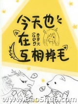 今天也在互相掉毛图片