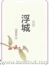 恋恋浮城
