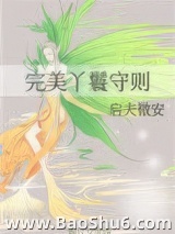 完美丫鬟守则图片