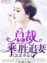 念念不忘，总裁乘胜追妻