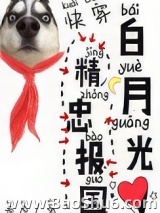 白月光精忠报国[快穿]