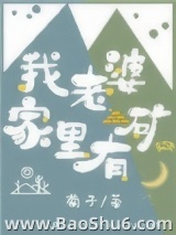 我老婆家里有矿图片