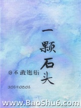 [娱乐圈]一颗石头