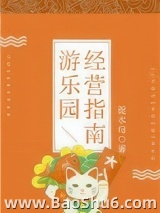 游乐园经营指南图片
