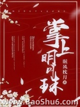掌上明月珠