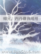 《师兄，内丹借我用用》全本TXT下载-作者：浅夜白