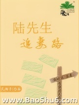陆先生追妻路