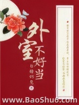 外室不好当图片