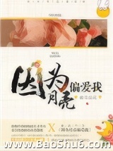 因为月亮偏爱我小说