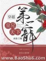 皇兄天下第一宠（穿越）图片