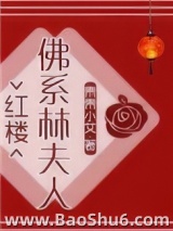 [红楼]佛系林夫人