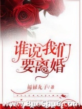 谁说我们要离婚小说