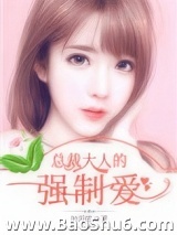 总裁大人的强制爱