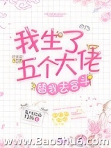 我生了五个大佬替我去宫斗(清穿)图片