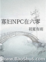 寡妇NPC在六零