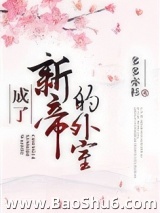 成了新帝的外室图片