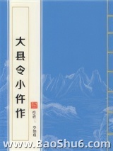 大县令小仵作