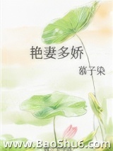 艳妻多娇小说