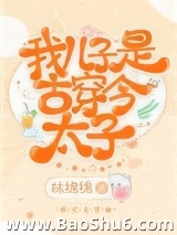 我儿子是古穿今太子图片