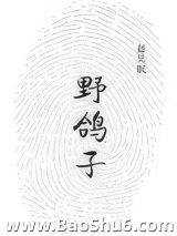 野鸽子