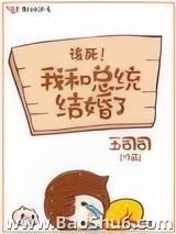我和总统结婚了