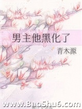 《男主他黑化了》全本TXT下载-作者：青木源