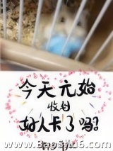 今天的元始收到好人卡了吗？图片